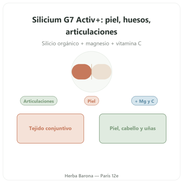Silicio G7 Activ+ – 60 Cápsulas – Silicium Laboratories presentación Paris Herba Barona