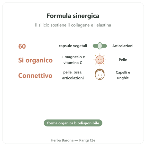 Silicio G7 Activ+ – 60 capsule – Silicium Laboratories benefici e dati chiave Paris Herba Barona