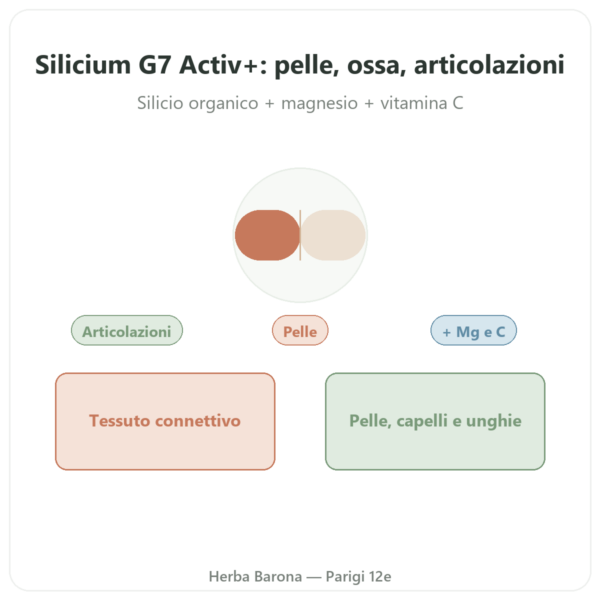 Silicio G7 Activ+ – 60 capsule – Silicium Laboratories presentazione Paris Herba Barona