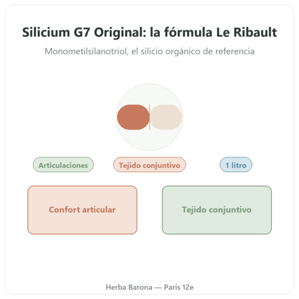 Silicio G7 Original 1L – Fórmula Loïc Le Ribault presentación Paris Herba Barona
