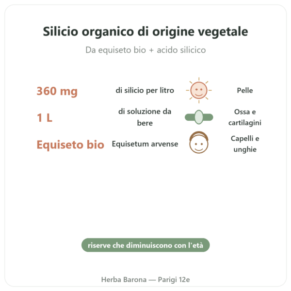 Silicio G7 Siliplant 1L – Silicium España benefici e dati chiave Paris Herba Barona