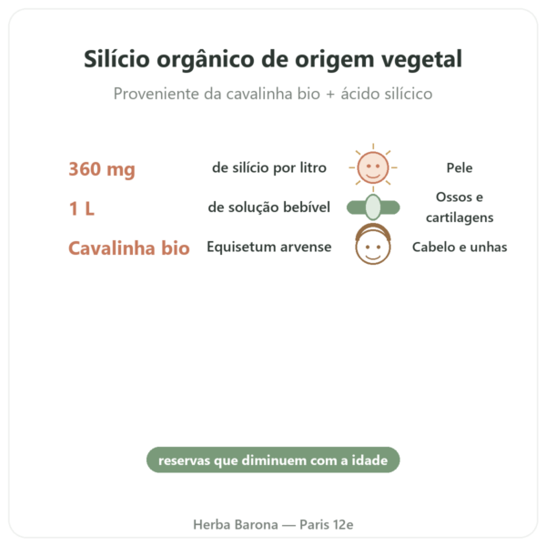 Silício G7 Siliplant 1L – Silicium Espana benefícios e dados principais Paris Herba Barona