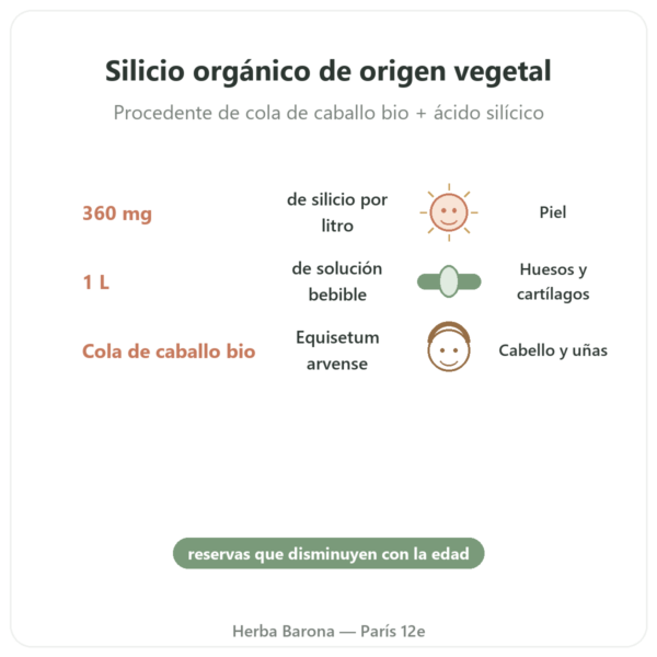 Silicio G7 Siliplant 1L – Silicium España beneficios y datos clave Paris Herba Barona