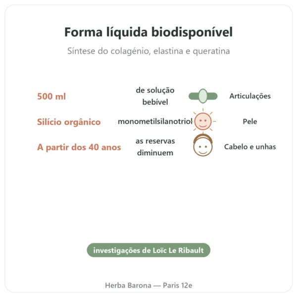 Silício Orgânico G5 500 ml benefícios e dados principais Paris Herba Barona