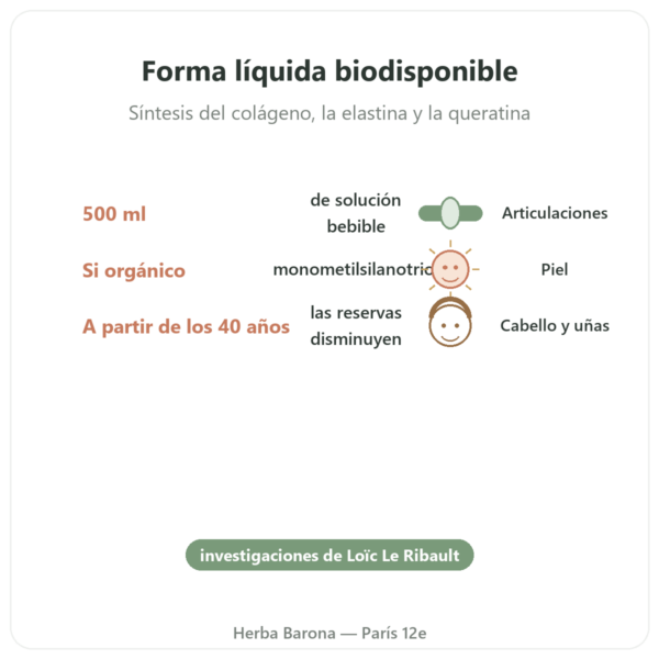 Silicio Orgánico G5 – 500 ml beneficios y datos clave Paris Herba Barona