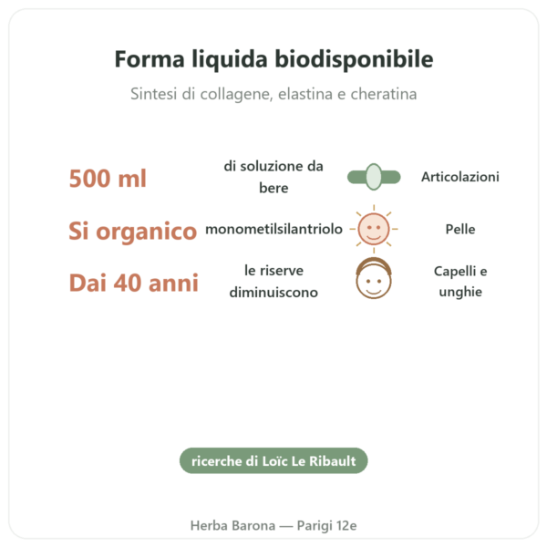 Silicio Organico G5 500 ml benefici e dati chiave Paris Herba Barona