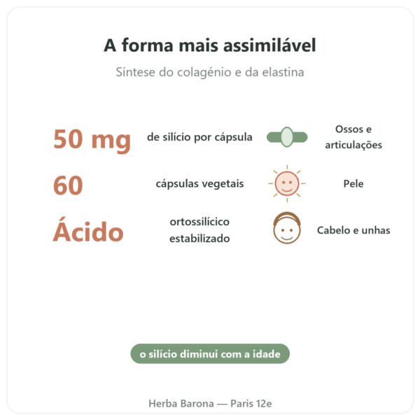 Silício Ortogénico natural 50 mg – frasco de 60 cápsulas benefícios e dados principais Paris Herba Barona