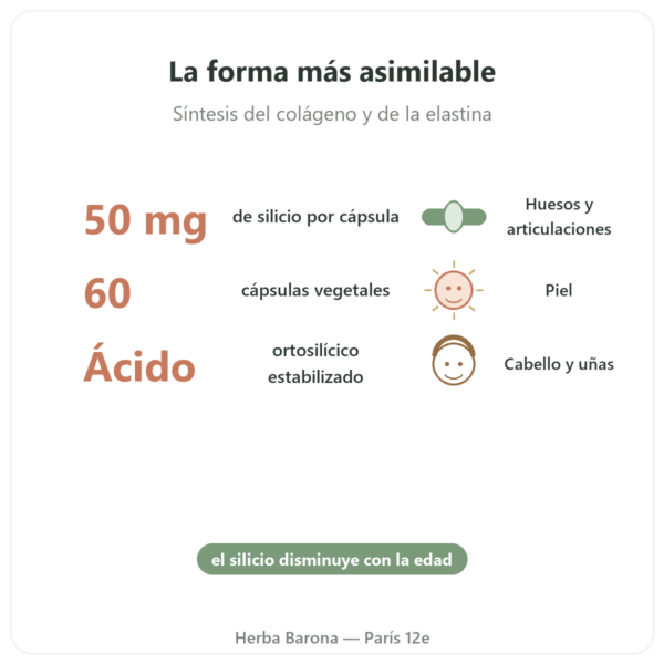 Silicio Ortogénico Natural 50 mg – Frasco de 60 Cápsulas beneficios y datos clave Paris Herba Barona