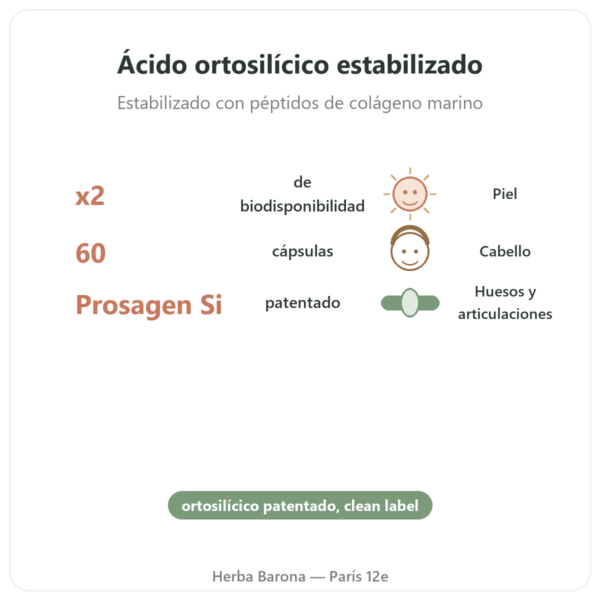Silicio Prosagen Si® – Dynveo – 60 cápsulas beneficios y datos clave Paris Herba Barona
