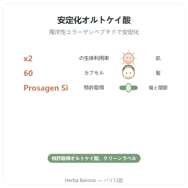 シリカ Prosagen Si Dynveo 60カプセル benefits and key facts Paris Herba Barona