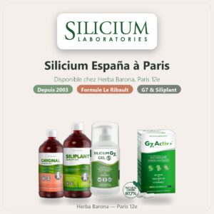 Silicium España
