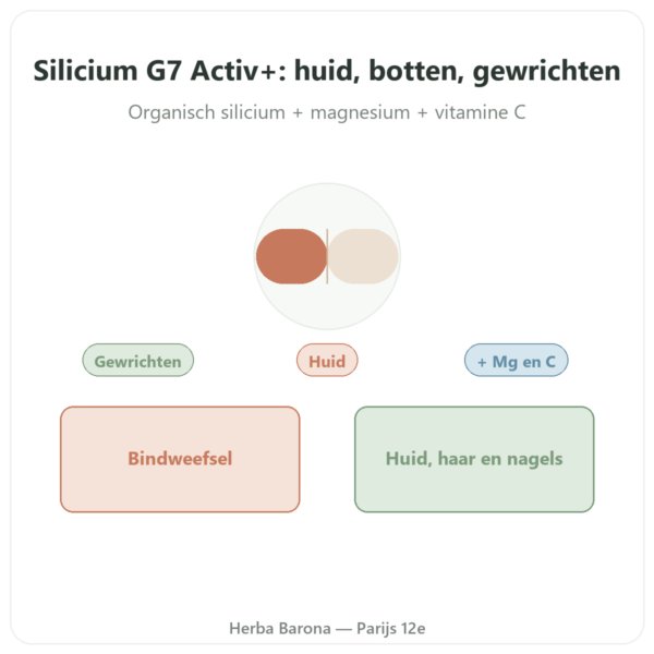 Silicium G7 Activ+ – 60 capsules – Silicium Laboratories presentatie Paris Herba Barona