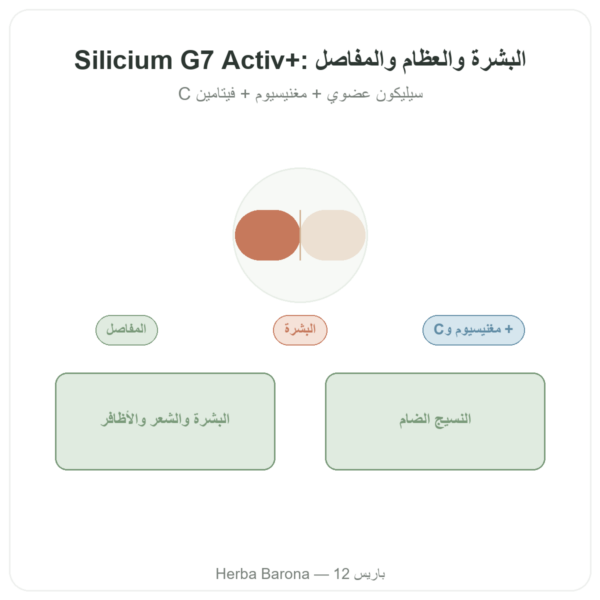سيليسيوم G7 Activ+ – 60 كبسولة – Silicium Laboratories عرض المنتج Paris Herba Barona