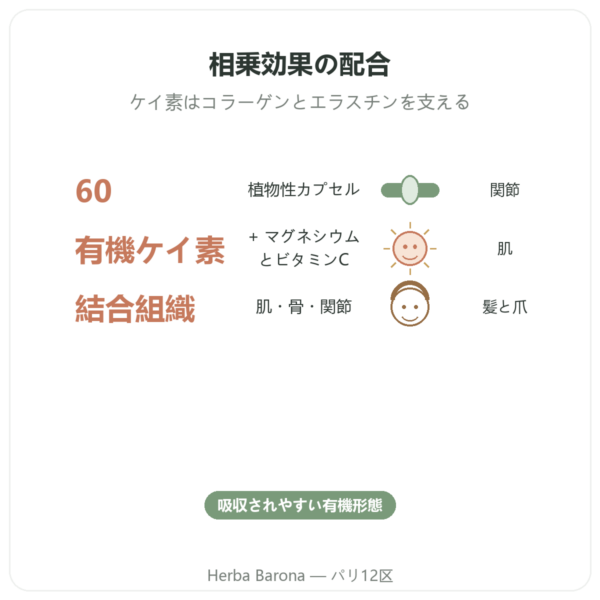 Silicium G7 Activ+ – 60カプセル – Silicium Laboratories benefits and key facts Paris Herba Barona
