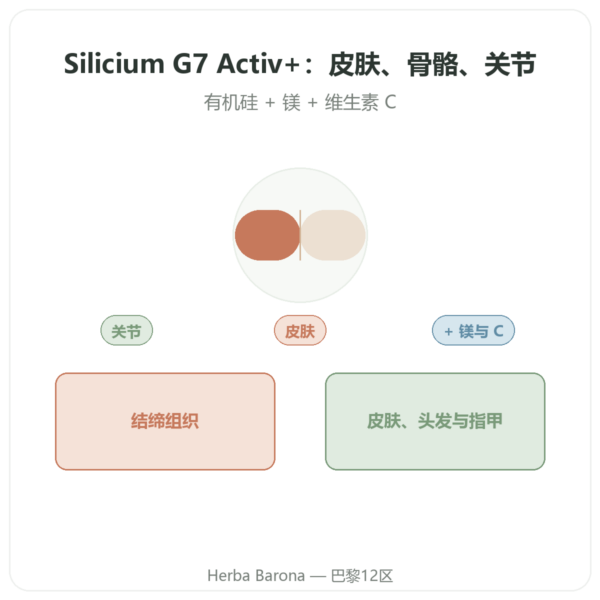 Silicium G7 Activ+ – 60 粒胶囊 – Silicium Laboratories 产品展示 Paris Herba Barona