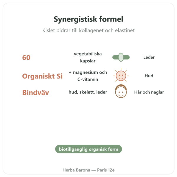 Silicium G7 Activ+ – 60 kapslar – Silicium Laboratories fördelar och nyckelfakta Paris Herba Barona