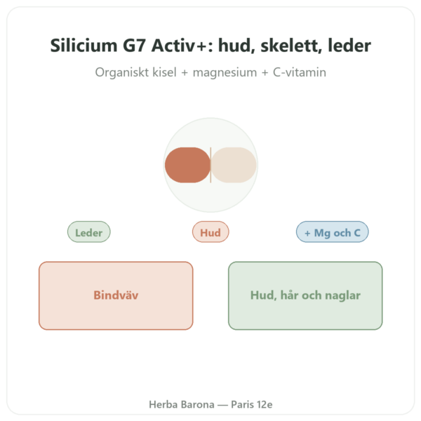 Silicium G7 Activ+ – 60 kapslar – Silicium Laboratories presentation Paris Herba Barona