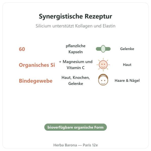 Silicium G7 Activ+ – 60 Kapseln – Silicium Laboratories Vorteile und Fakten Paris Herba Barona