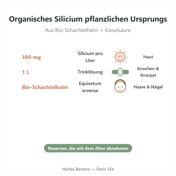 Silicium G7 Siliplant 1 L – Silicium España Vorteile und Fakten Paris Herba Barona