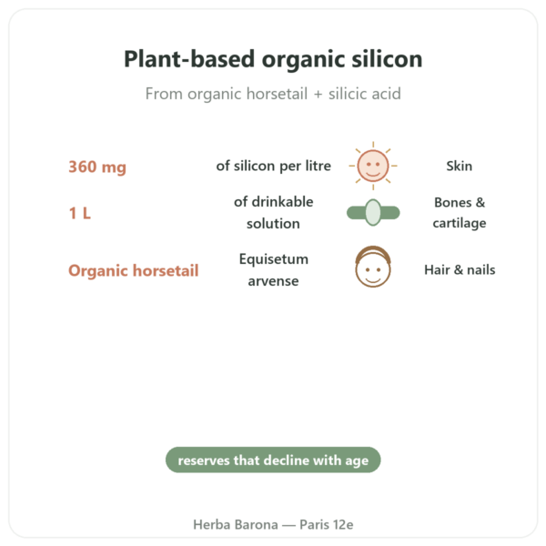 Silicium G7 Siliplant 1L – Silicium Espana benefits and key facts Paris Herba Barona
