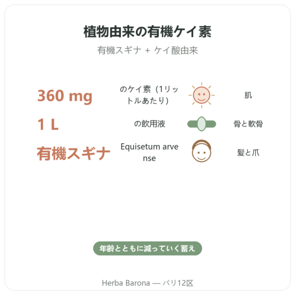 Silicium G7 Siliplant 1L – Silicium Espana benefits and key facts Paris Herba Barona