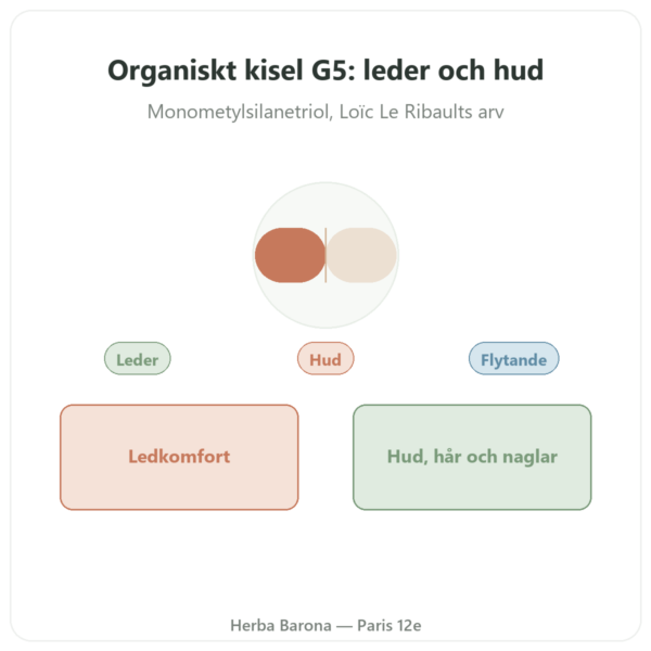 Organiskt Kisel G5 500 ml presentation Paris Herba Barona