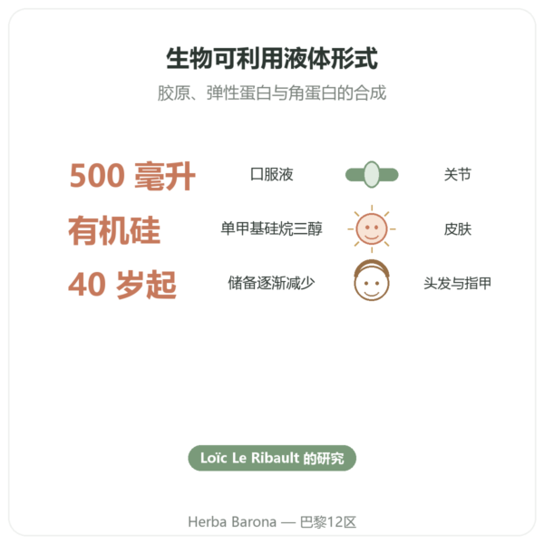 有机硅 G5 500 毫升 功效与数据 Paris Herba Barona