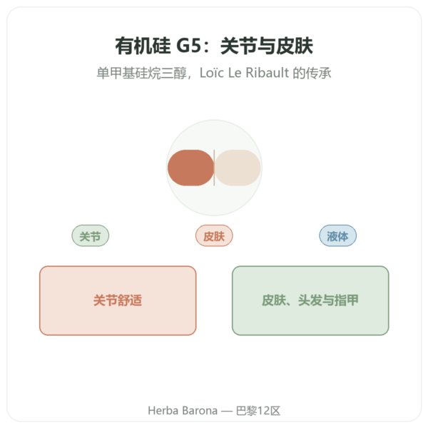 有机硅 G5 500 毫升 产品展示 Paris Herba Barona