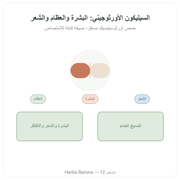 السيليسيوم العضوي الأورثوجينيك 50 ملغ – علبة 60 كبسولة عرض المنتج Paris Herba Barona