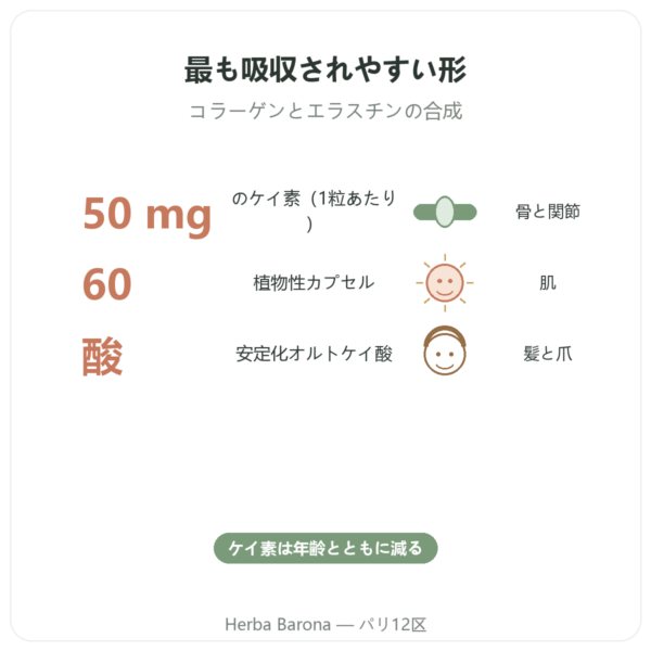 有機ケイ素 オルトジェニック ナチュール 50 mg – 60カプセル入りボトル benefits and key facts Paris Herba Barona