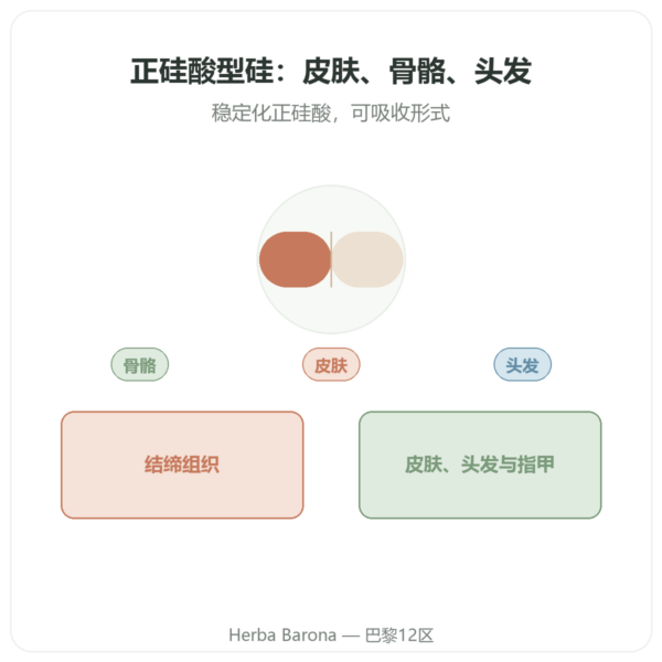 原硅酸硅 nature 50 mg – 60 粒装 产品展示 Paris Herba Barona