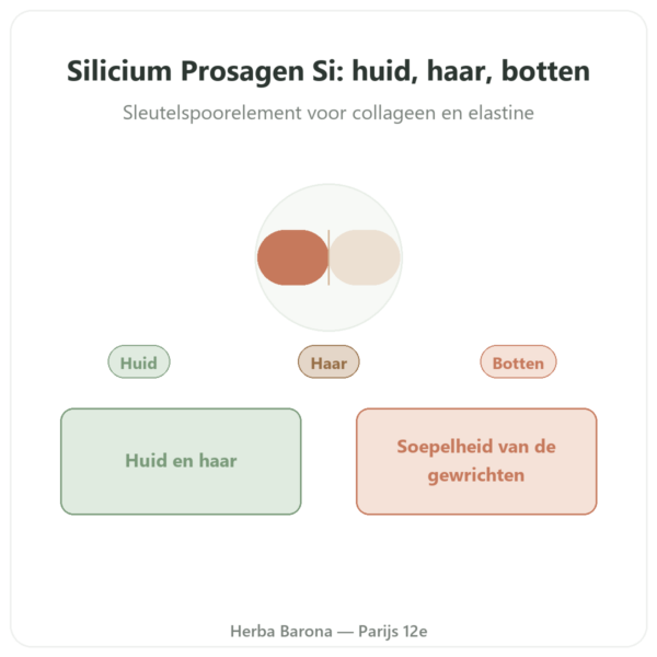 Silicium Prosagen Si Dynveo 60 capsules presentatie Paris Herba Barona