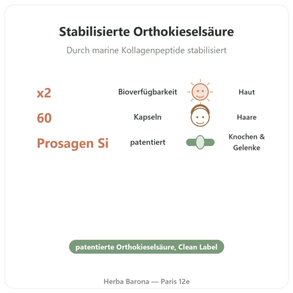 Silizium Prosagen Si® – Dynveo – 60 Kapseln Vorteile und Fakten Paris Herba Barona