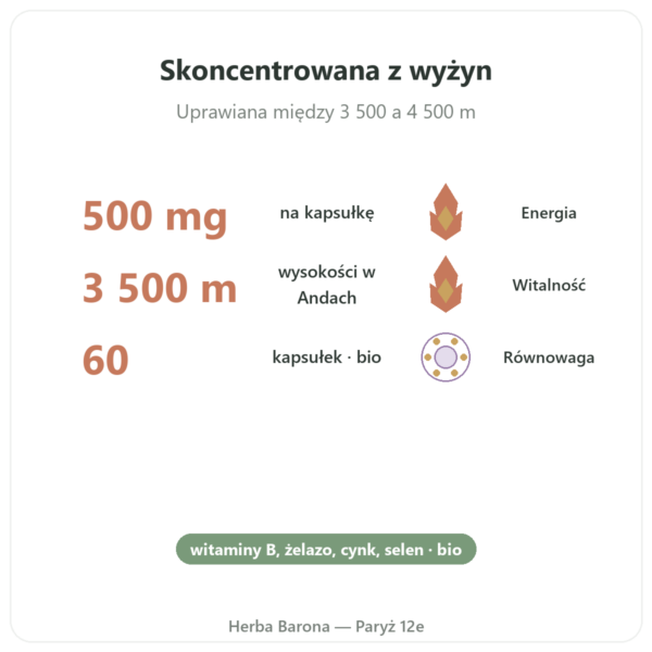 Skoncentrowana maca bio 500 mg - 60 kapsulek DYNVEO korzyści i najważniejsze fakty Paris Herba Barona