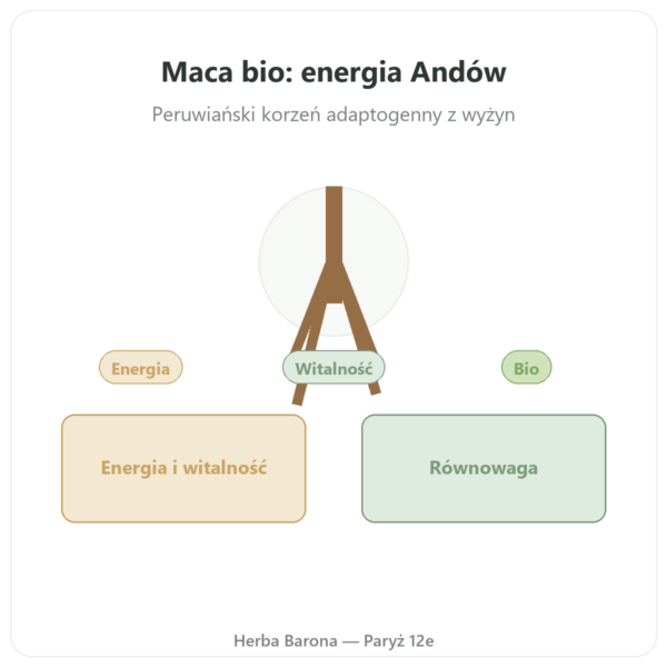 Skoncentrowana maca bio 500 mg - 60 kapsulek DYNVEO prezentacja Paris Herba Barona