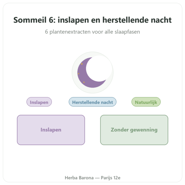 Slaap 6 – Dynveo – Inslapen & Herstellende Slaap – 60 capsules presentatie Paris Herba Barona