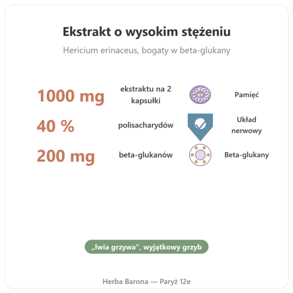 Soplówka Jeżowata (Hericium) bio 500mg ekstrakt – 60 kaps. korzyści i najważniejsze fakty Paris Herba Barona