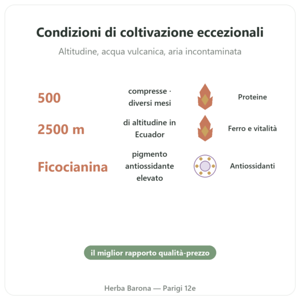 Spirulina Alga Blu delle Ande 500 compresse benefici e dati chiave Paris Herba Barona