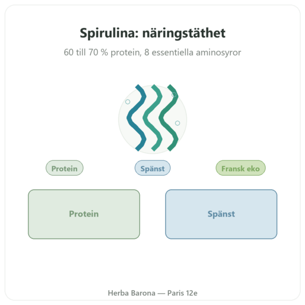 Fransk spirulina EKO – Dynveo – 200 tabletter presentation Paris Herba Barona