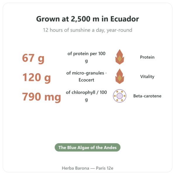 Spirulina – Flamant Vert – micro-granules 120 g – Ecocert benefits and key facts Paris Herba Barona