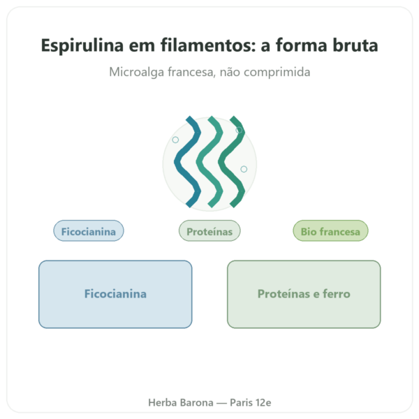 Spirulina Francesa BIO – Dynveo – Filamentos 90 g apresentação Paris Herba Barona