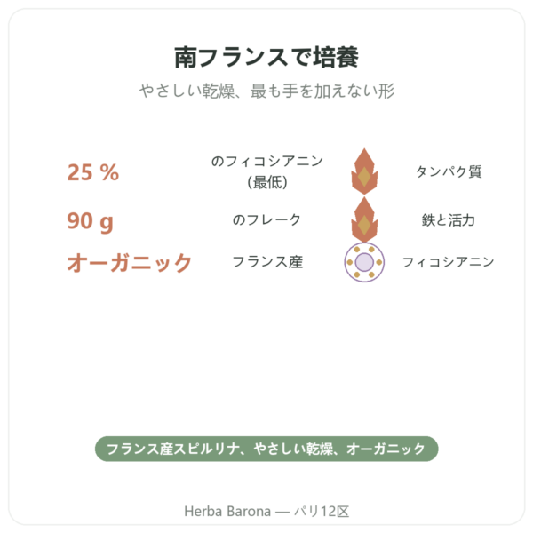 フランス産オーガニック スピルリナ – Dynveo – ブランディーユ(枝状)90 g benefits and key facts Paris Herba Barona
