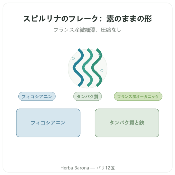 フランス産オーガニック スピルリナ – Dynveo – ブランディーユ(枝状)90 g presentation Paris Herba Barona