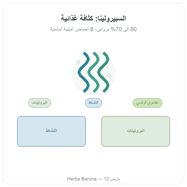 سبيرولينا فرنسية عضوية – Dynveo – 200 قرص عرض المنتج Paris Herba Barona