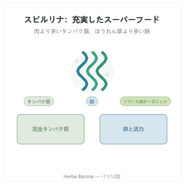 Dynveo フランス産 有機スピルリナ 500粒 presentation Paris Herba Barona