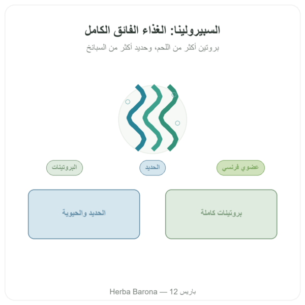 سبيرولينا فرنسية عضوية – Dynveo – 500 قرص عرض المنتج Paris Herba Barona