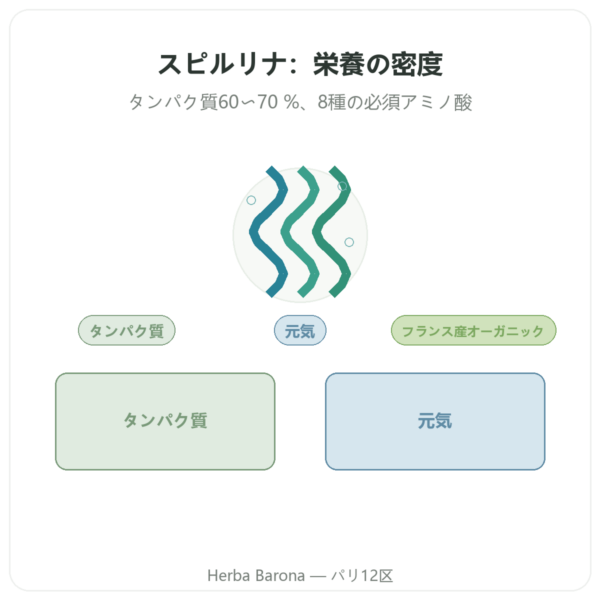 Dynveo フランス産 有機スピルリナ 200粒 presentation Paris Herba Barona