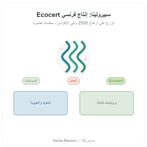 سبيرولينا – Flamant Vert – 180 قرصاً - Ecocert عرض المنتج Paris Herba Barona