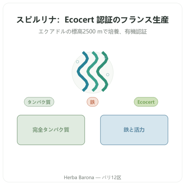スピルリナ – Flamant vert – 180タブレット -ecocert presentation Paris Herba Barona