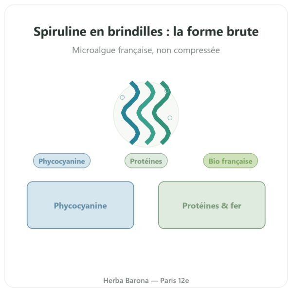 Spiruline Française BIO Dynveo Brindilles 250g présentation Paris Herba Barona